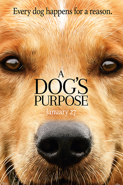 A DOG’S PURPOSE