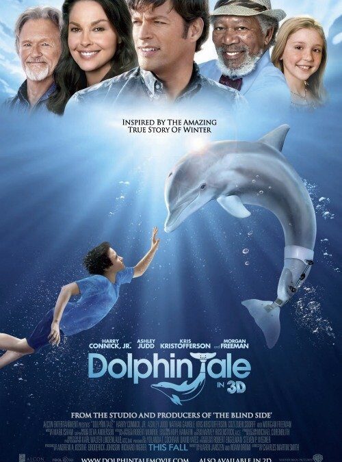 DOLPHIN TALE